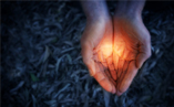 Spiritual Gifts